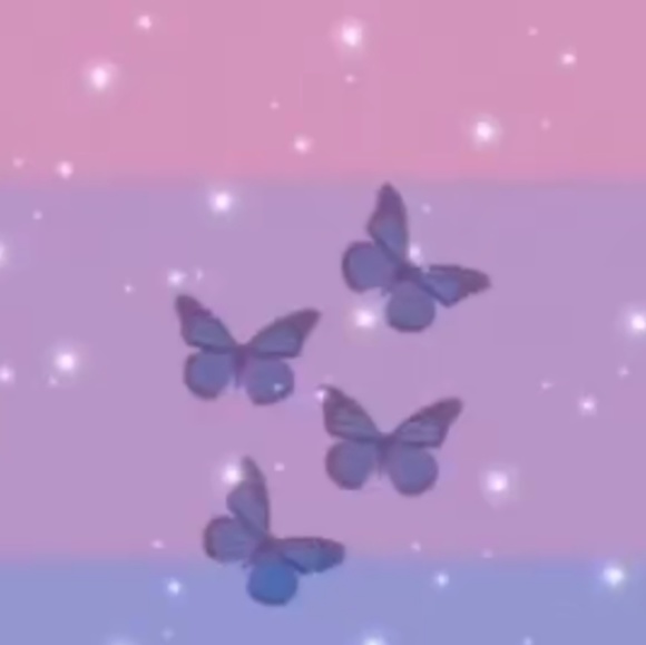 Meet your Posher, Riley - Picture 1 of 1